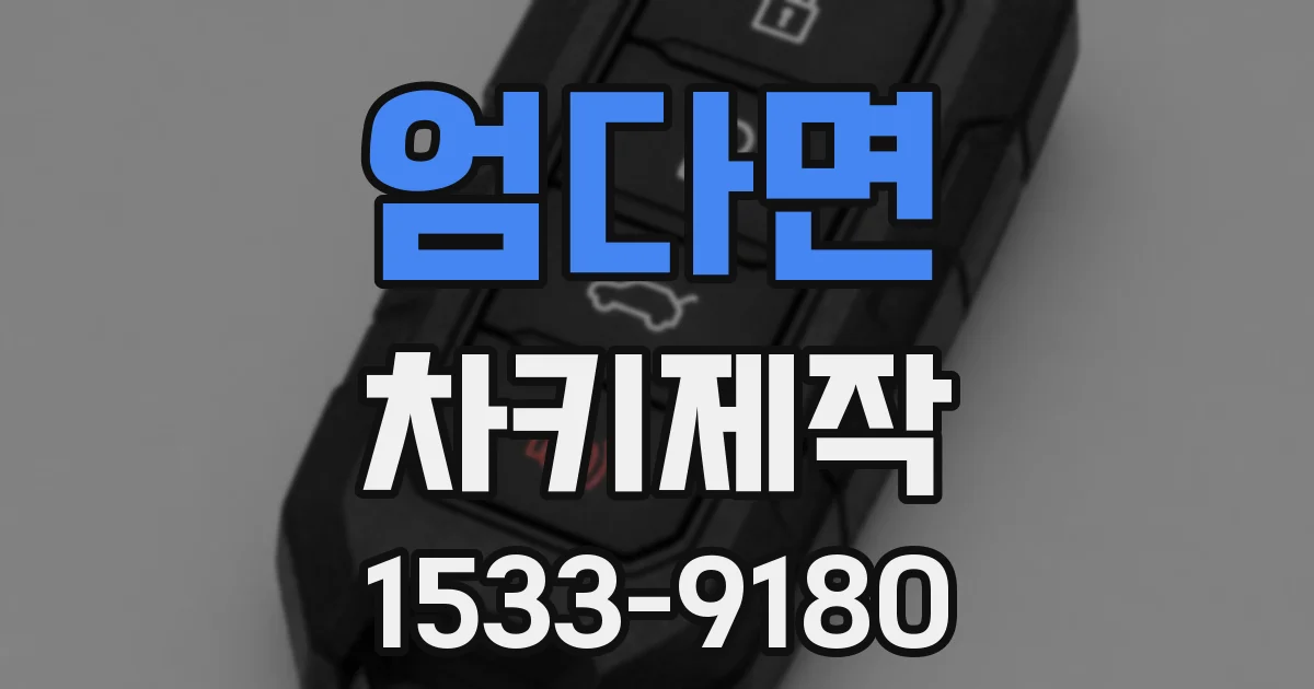 엄다면 차키제작