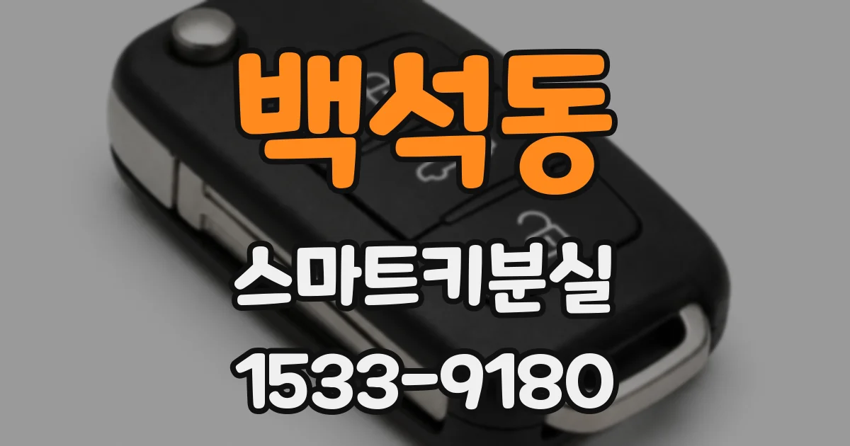 백석동 스마트키분실