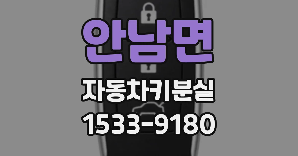 안남면 자동차키분실