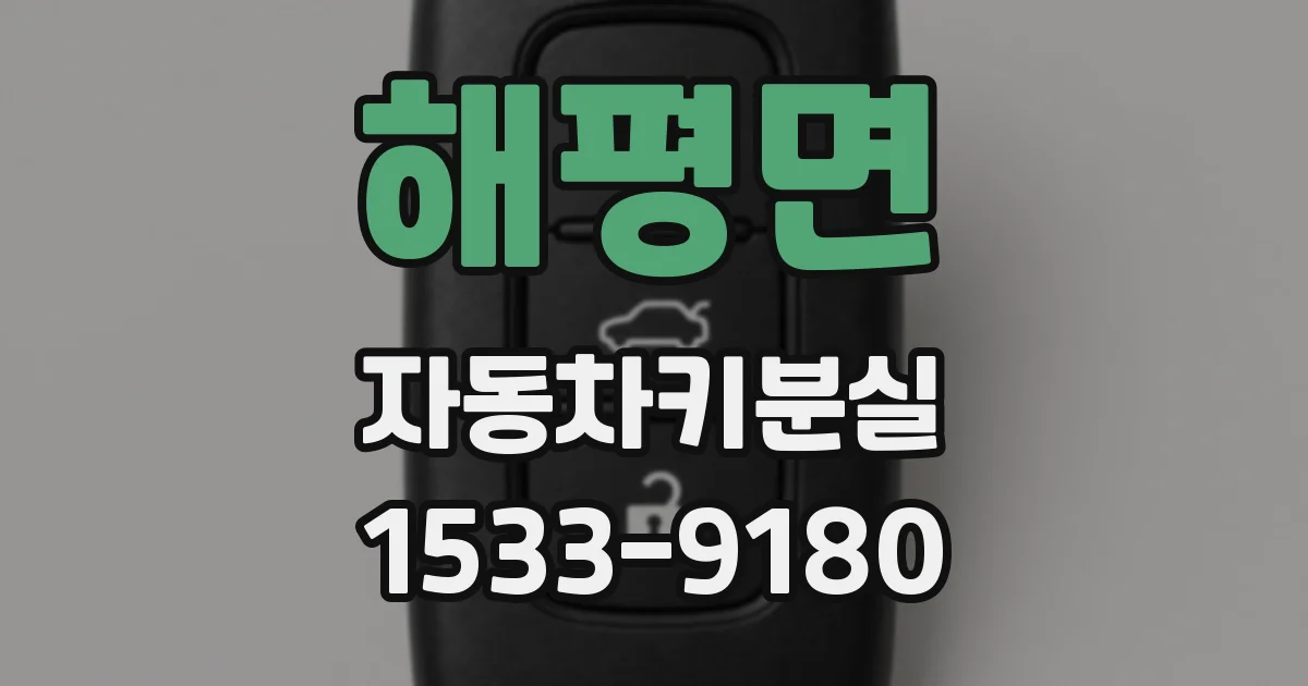 해평면 자동차키분실