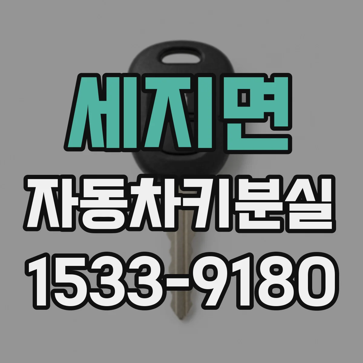 세지면 자동차키분실