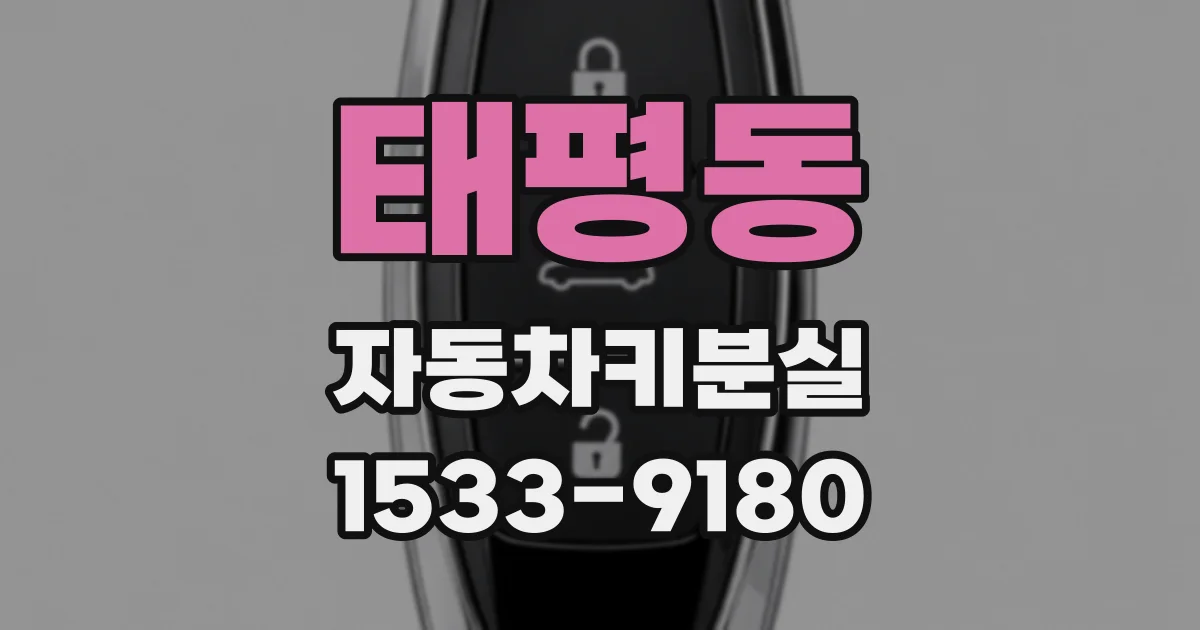 태평동 자동차키분실
