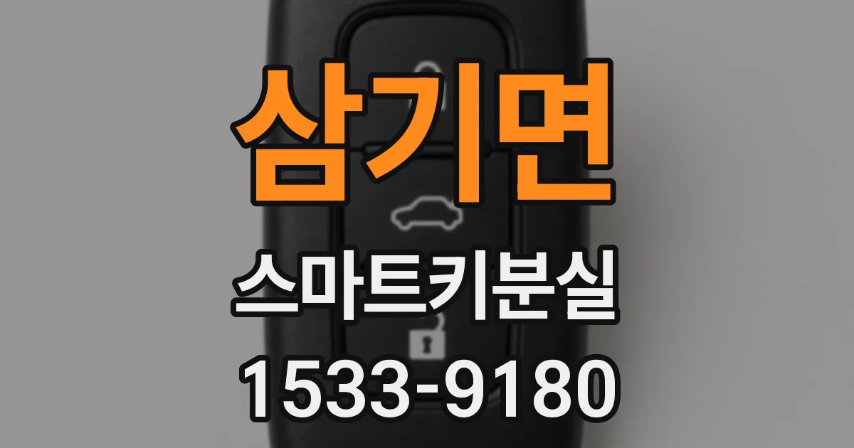 삼기면 스마트키분실