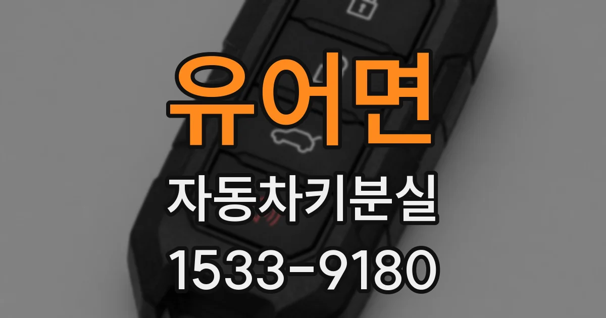 유어면 자동차키분실
