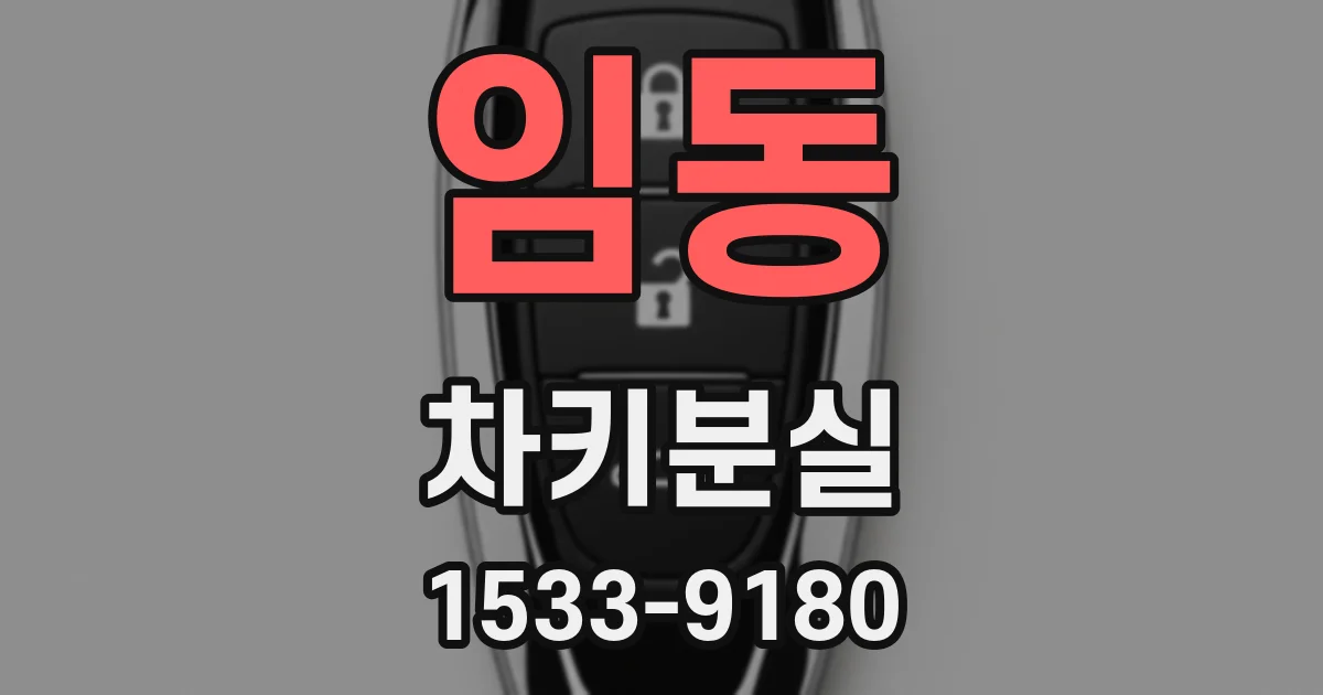 임동 차키분실