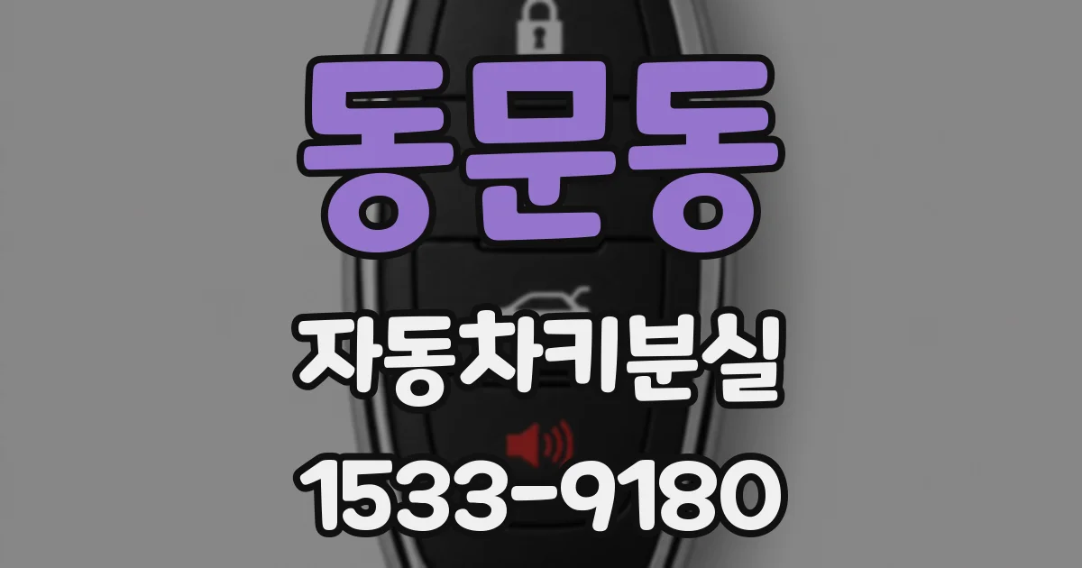 동문동 자동차키분실