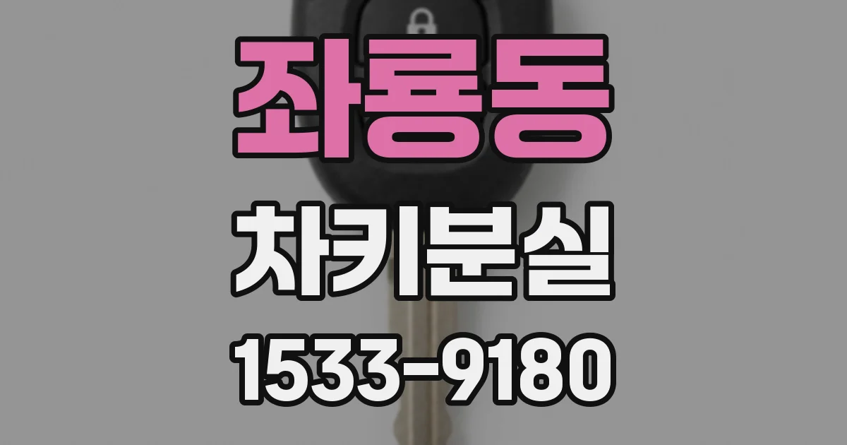 좌룡동 차키분실