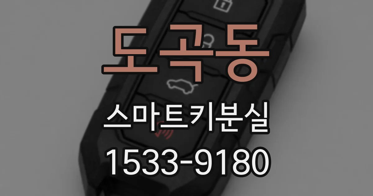도곡동 스마트키분실