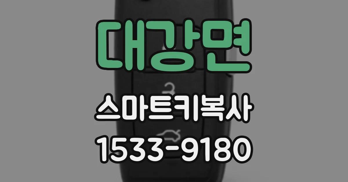 대강면 스마트키복사