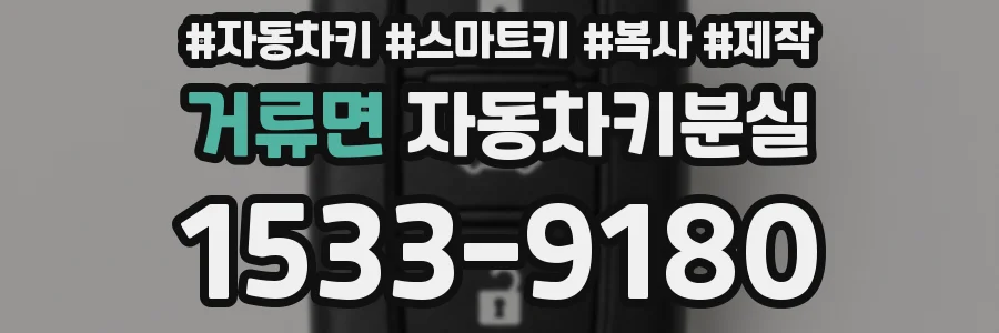 거류면 자동차키분실