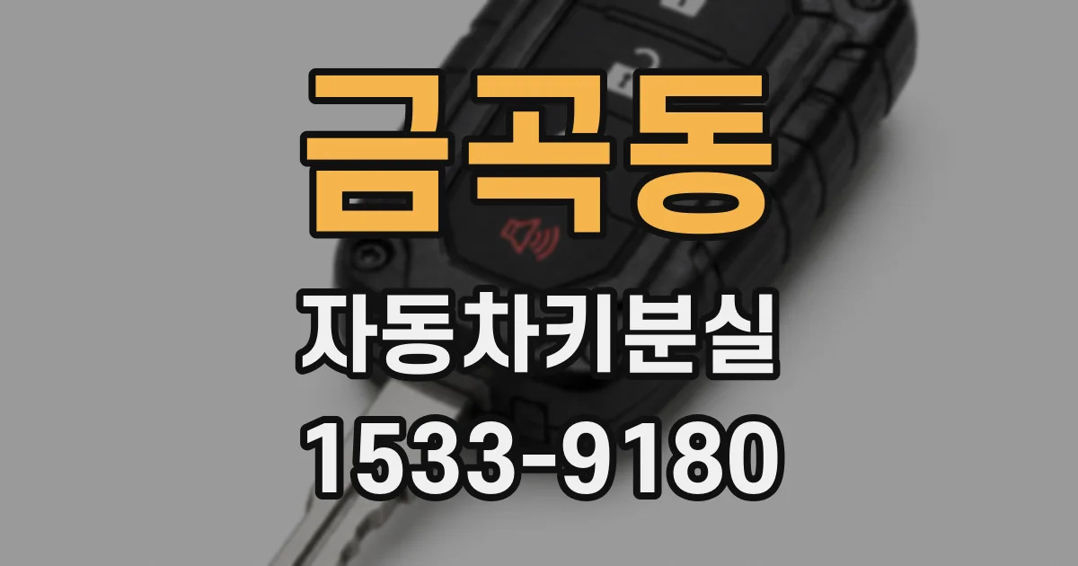 금곡동 자동차키분실