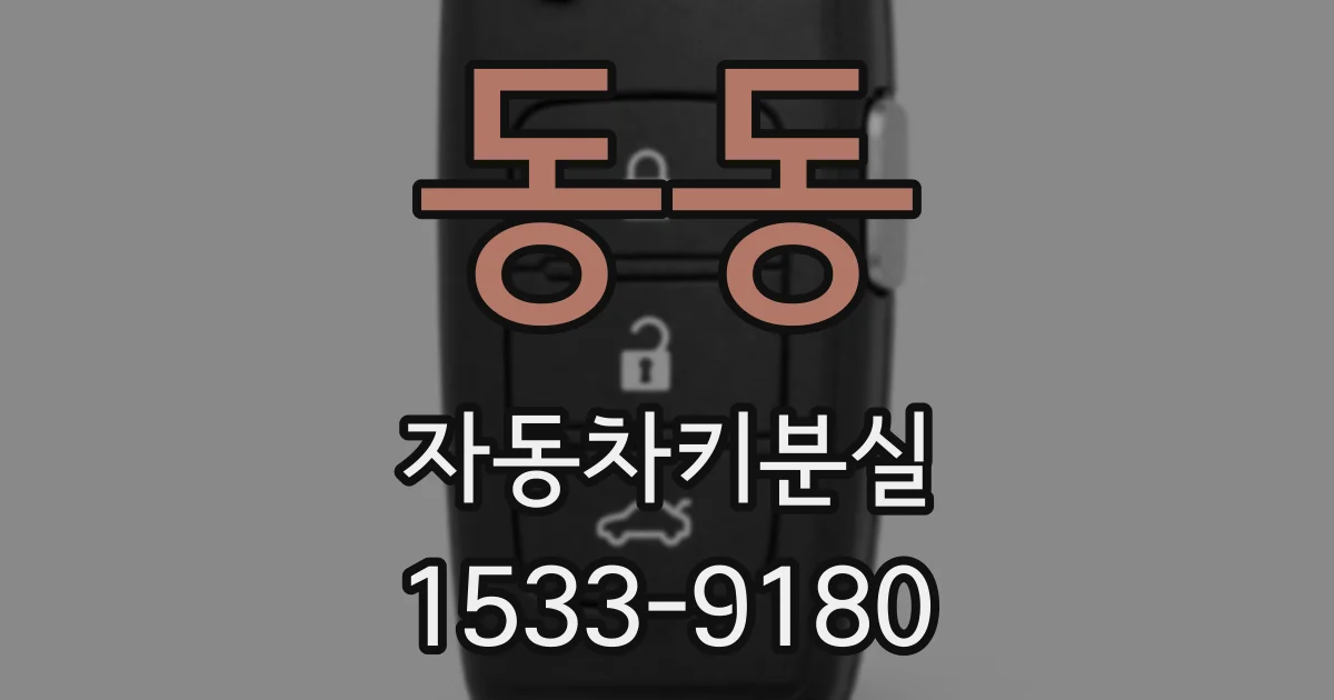 동동 자동차키분실