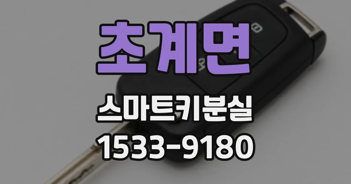 초계면 스마트키분실
