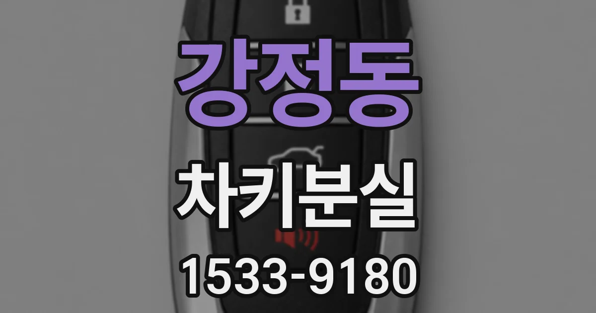 강정동 차키분실