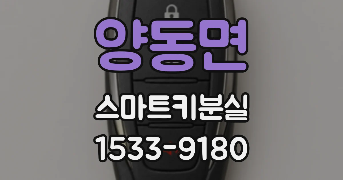 양동면 스마트키분실