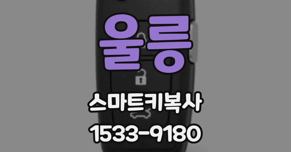울릉 스마트키복사