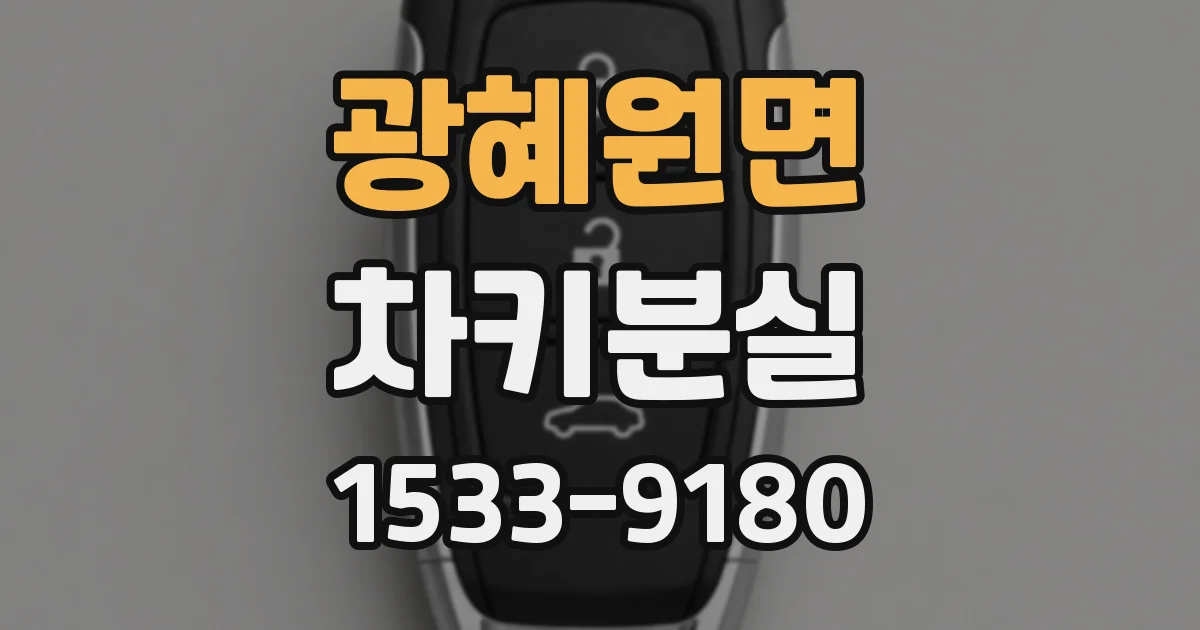 광혜원면 차키분실