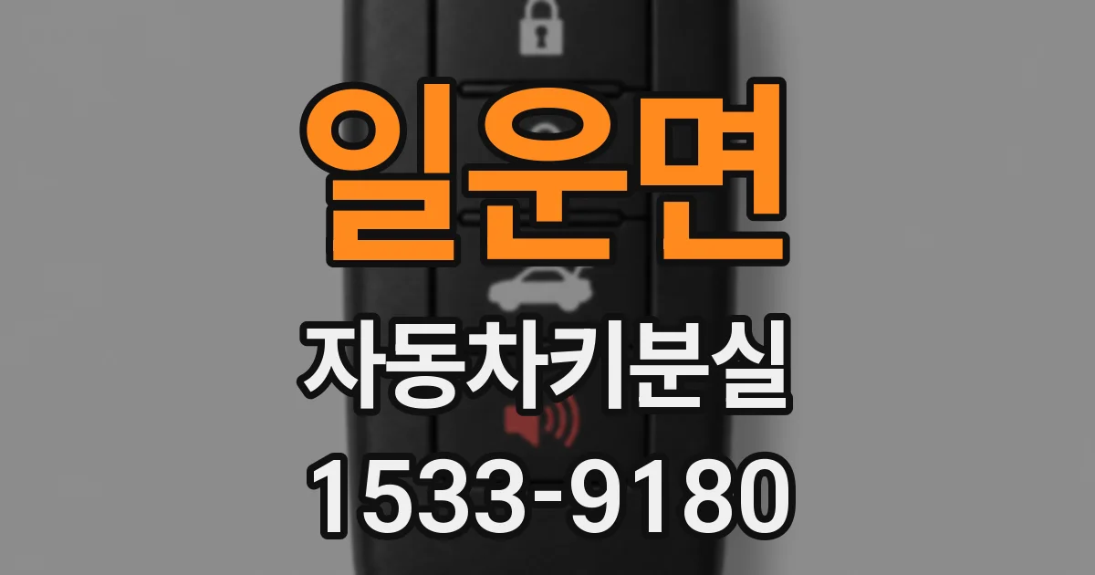일운면 자동차키분실