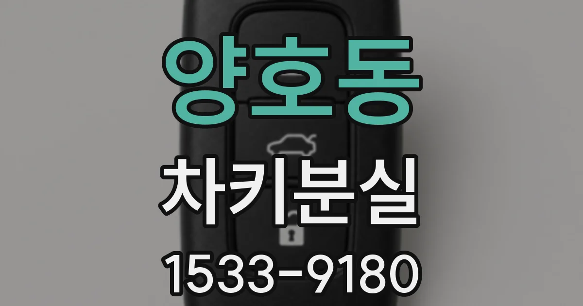 양호동 차키분실