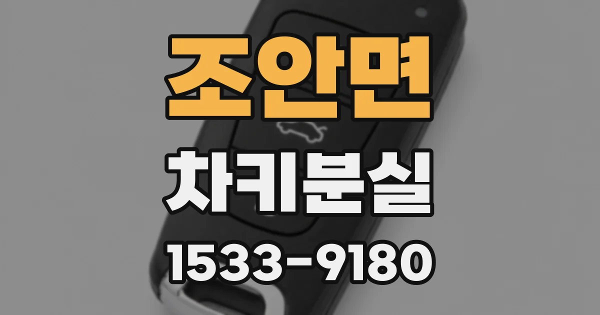 조안면 차키분실