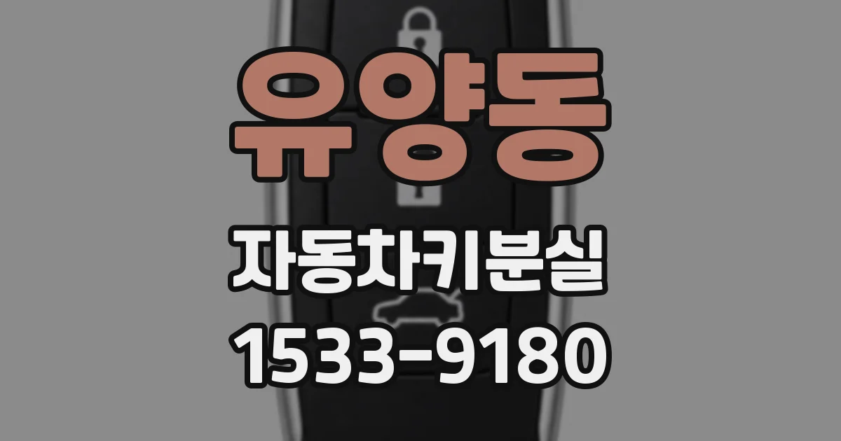 유양동 자동차키분실