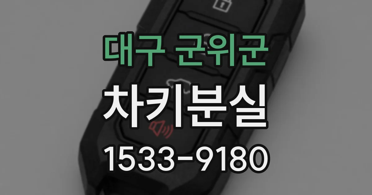 대구 군위군 차키분실