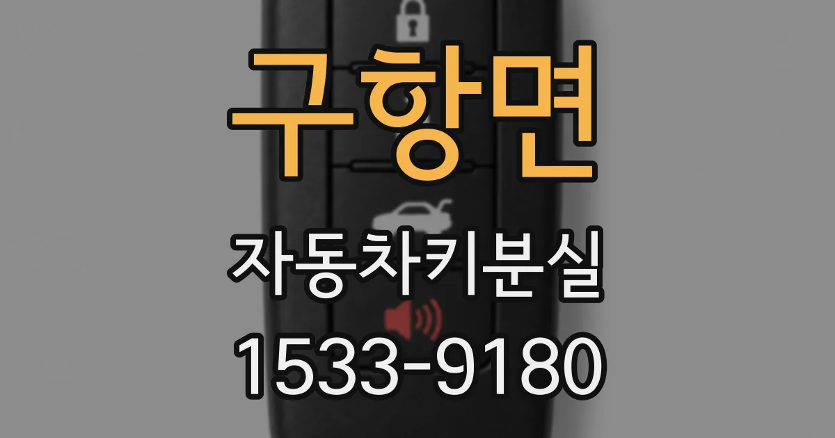 구항면 자동차키분실