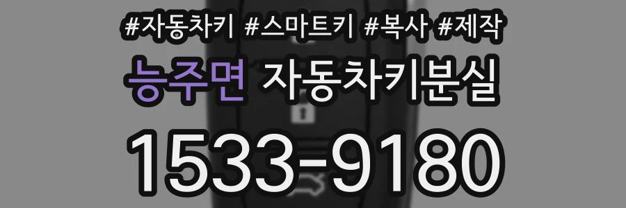 능주면 자동차키분실