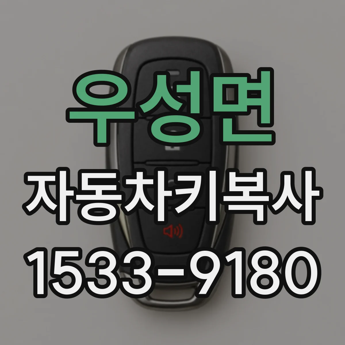 우성면 자동차키복사