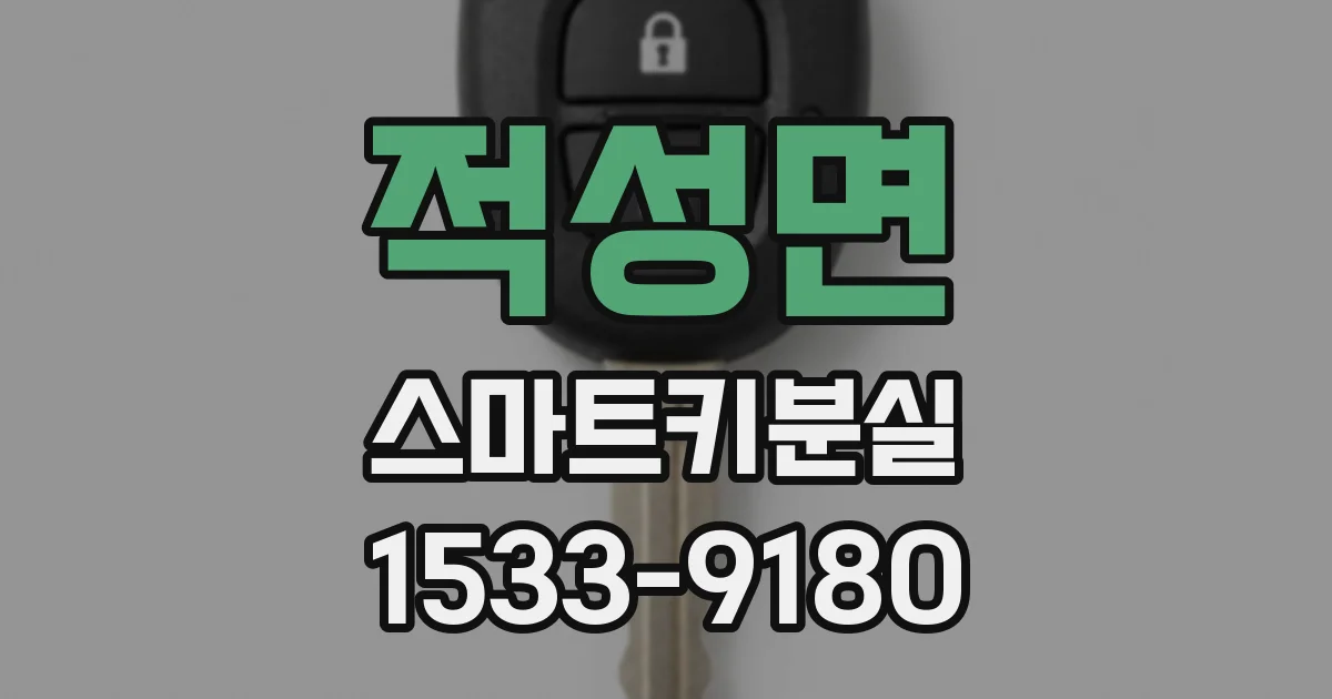 적성면 스마트키분실