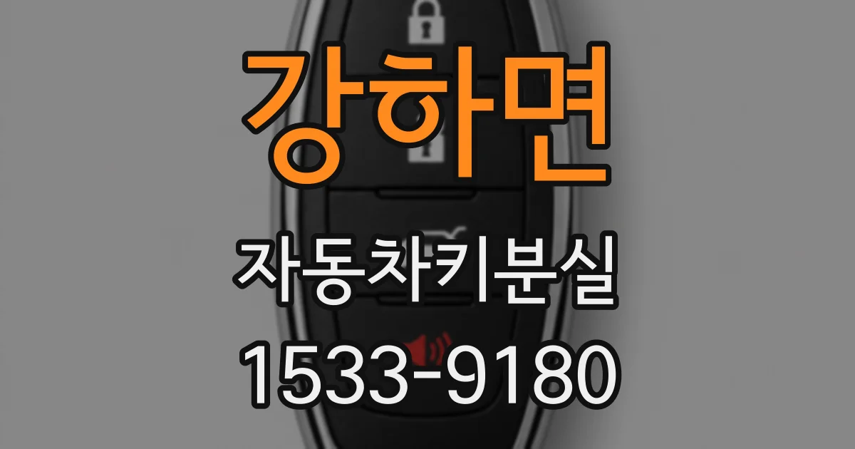 강하면 자동차키분실