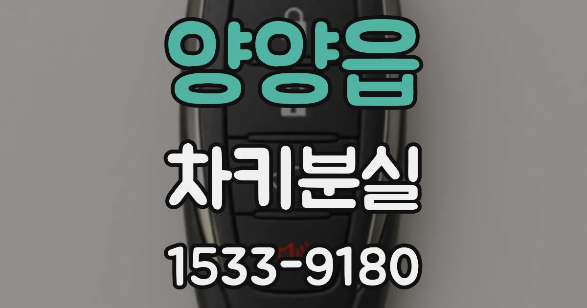 양양읍 차키분실