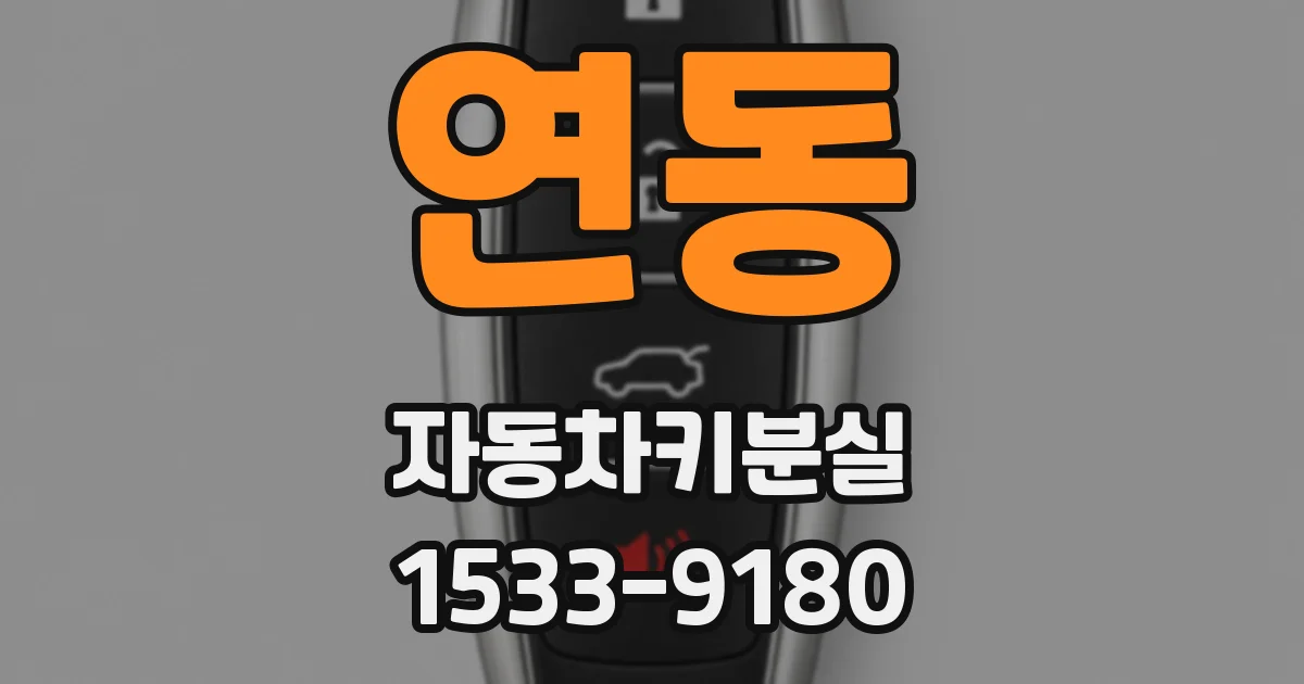 연동 자동차키분실