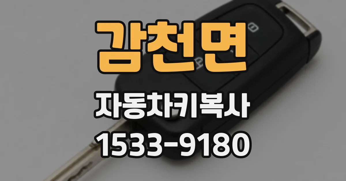 감천면 자동차키복사