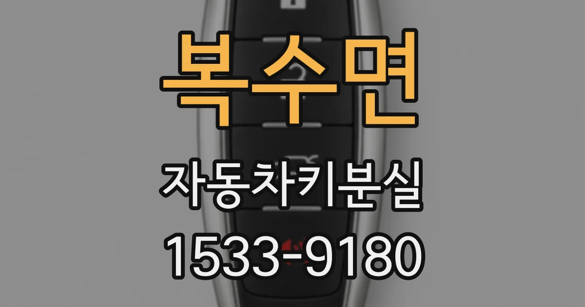 복수면 자동차키분실