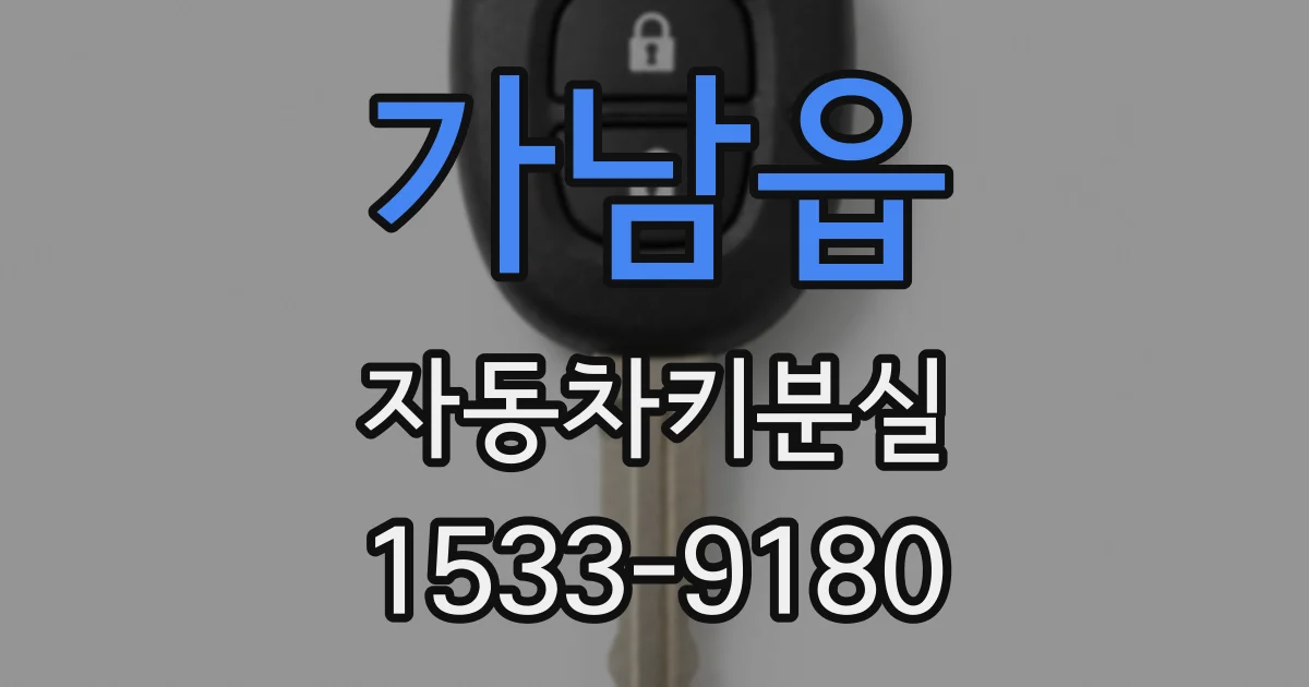 가남읍 자동차키분실