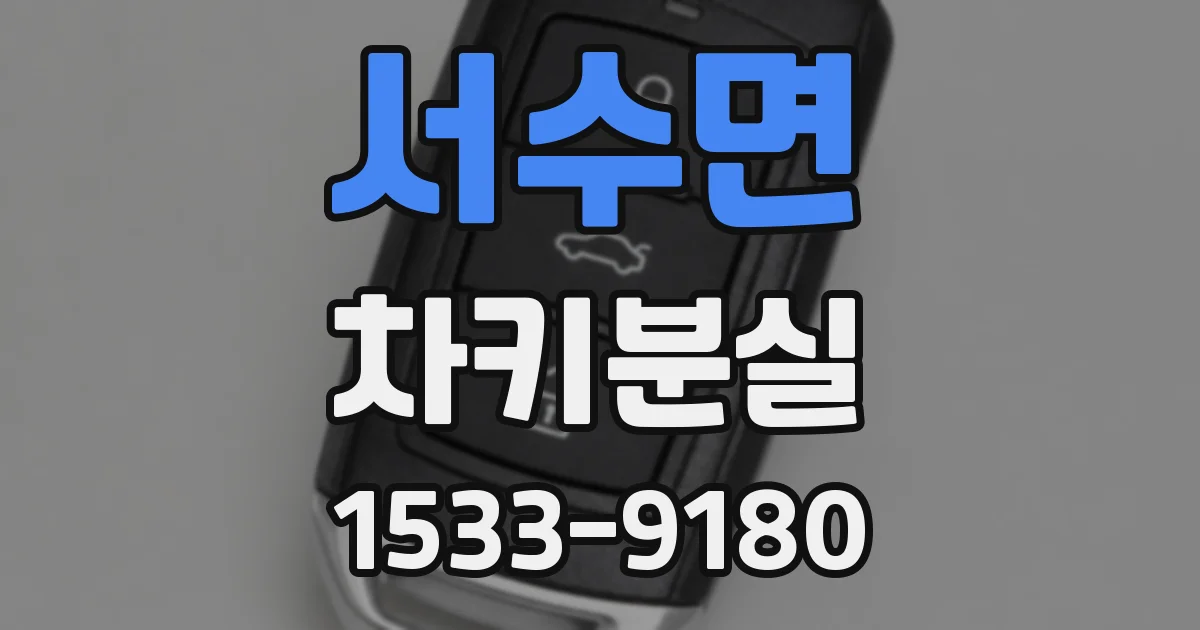 서수면 차키분실