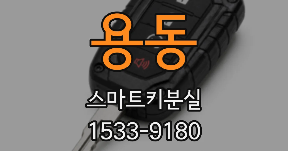 용동 스마트키분실