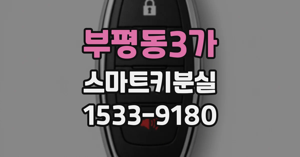 부평동3가 스마트키분실