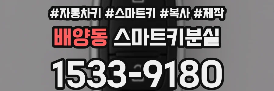 배양동 스마트키분실