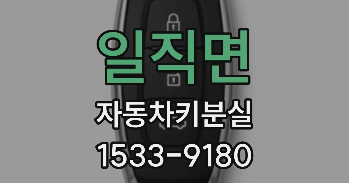 일직면 자동차키분실