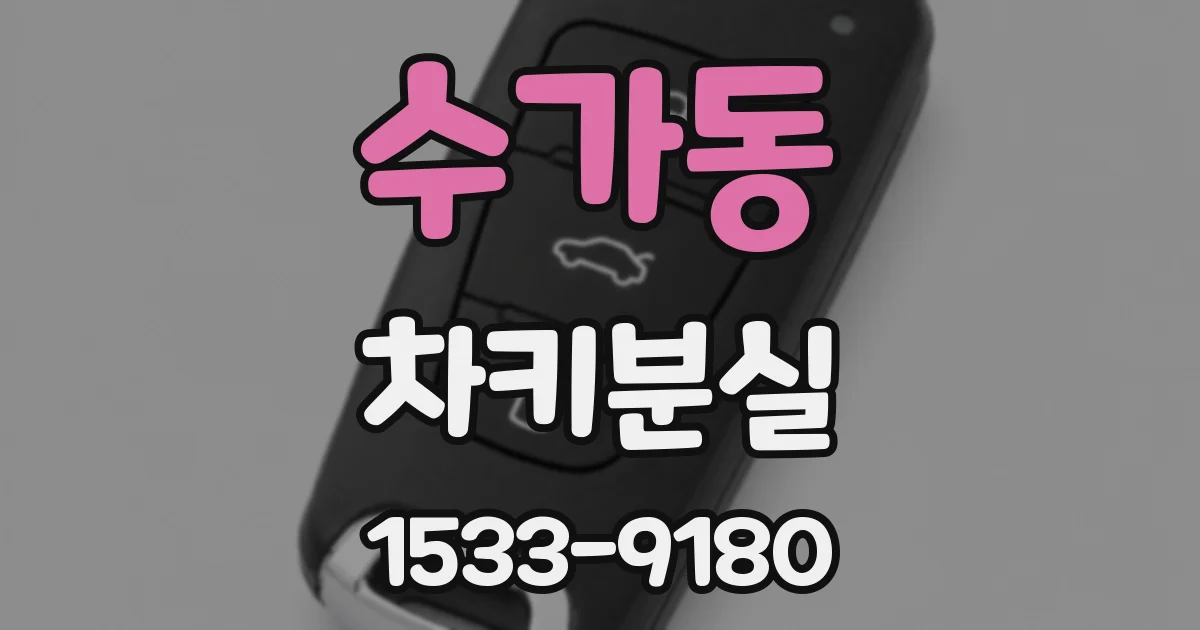 수가동 차키분실