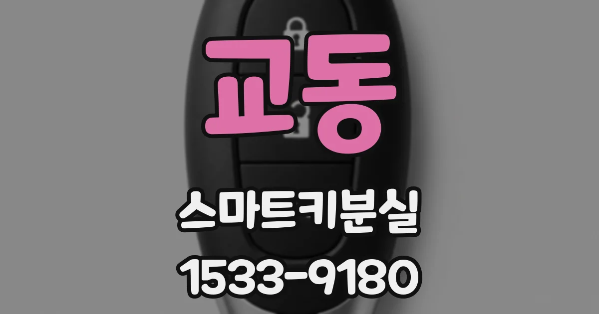 교동 스마트키분실