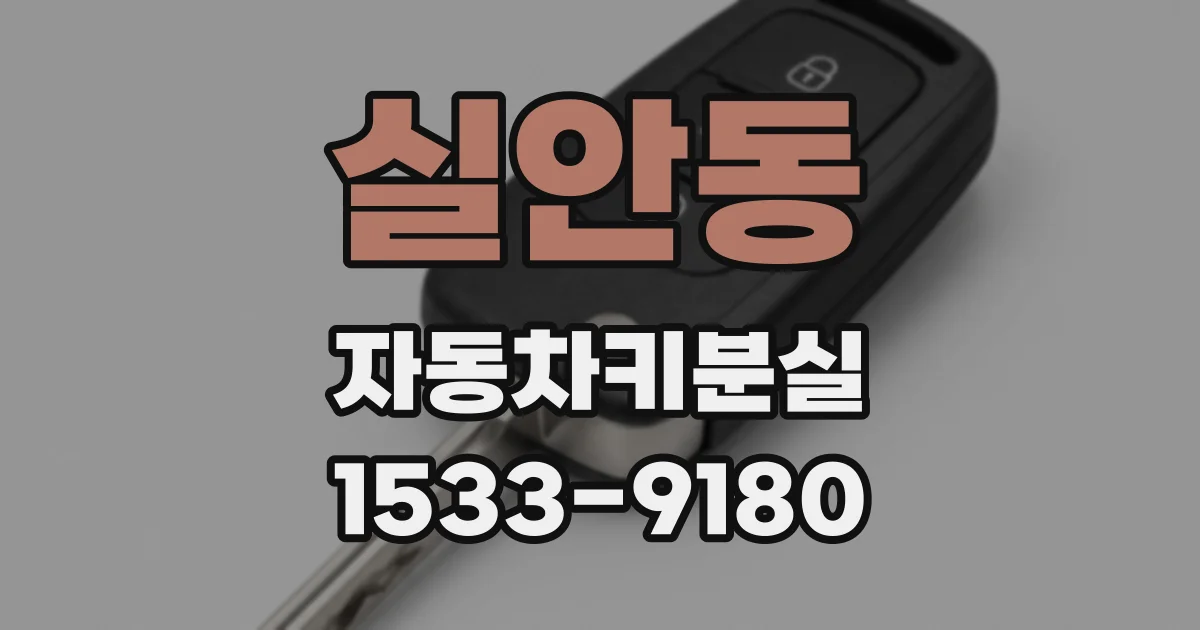 실안동 자동차키분실