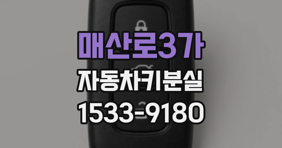 매산로3가 자동차키분실
