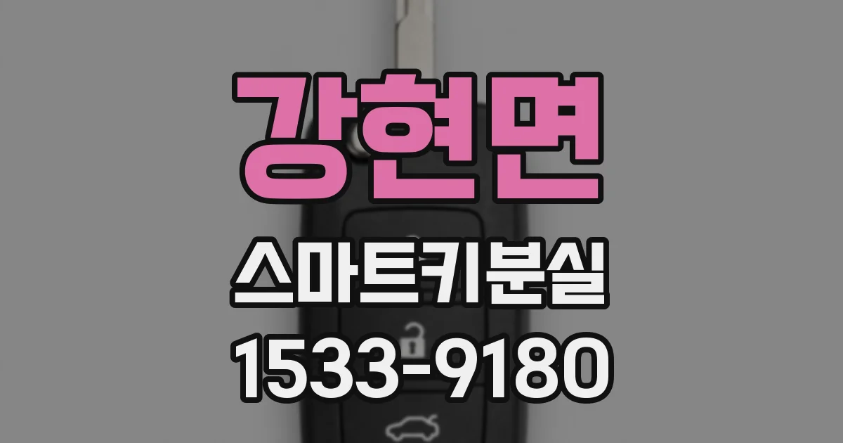 강현면 스마트키분실
