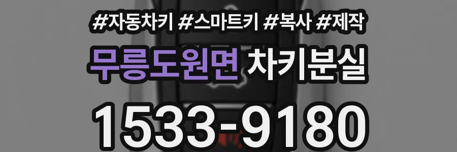 무릉도원면 차키분실