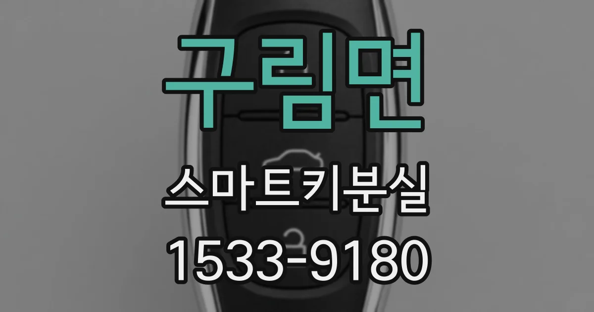 구림면 스마트키분실