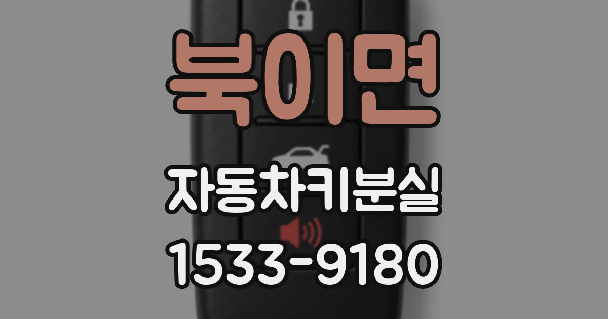 북이면 자동차키분실