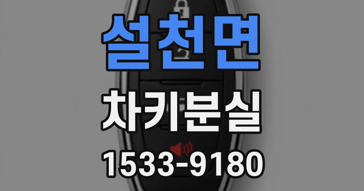 설천면 차키분실